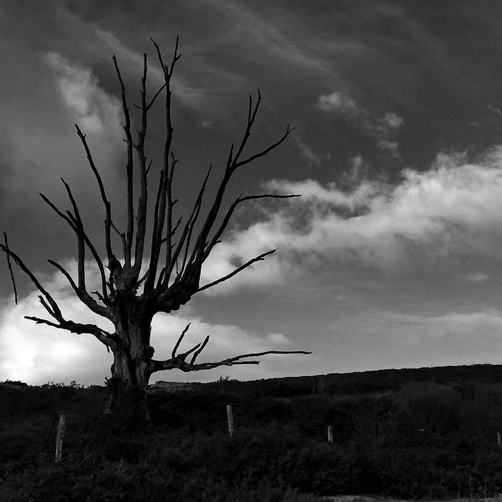 Inspiración 0 - Naturaleza y texturas