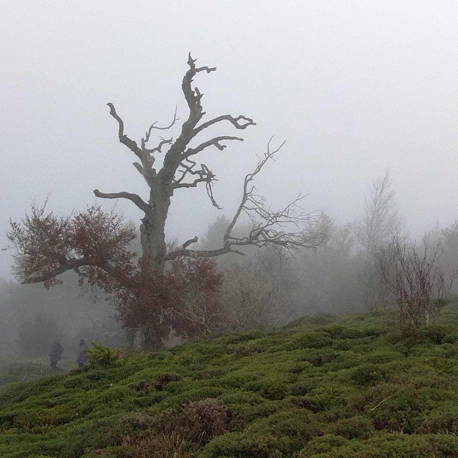 Inspiración 6 - Arte contemporáneo