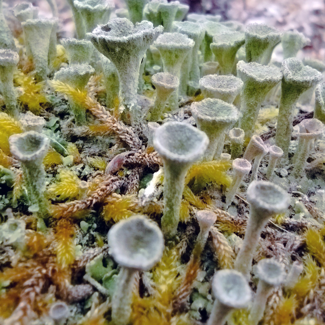 Inspiración 8 - Cultura y tradición